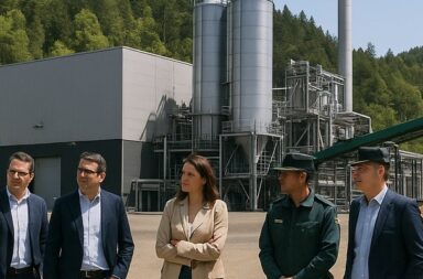 Planta de biomasa en funcionamiento mostrando la importancia en noticias sobre energia y gestión forestal sostenible